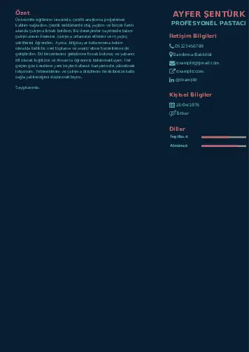 Pastacı Cv Örnekleri cv indir